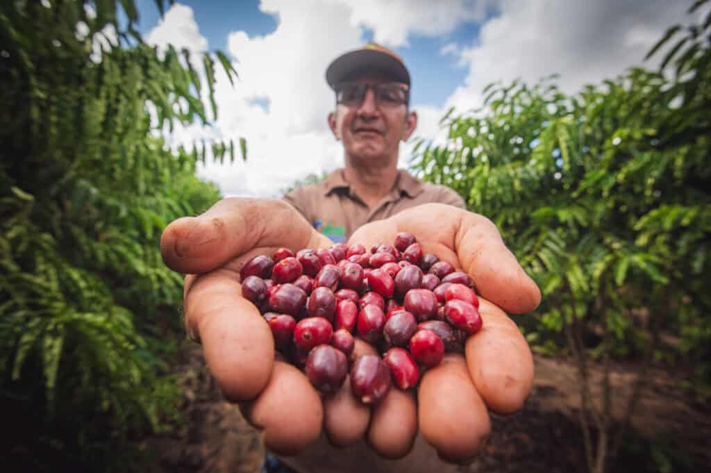 Acre reduz ICMS para exportações de café para 17 estados brasileiros