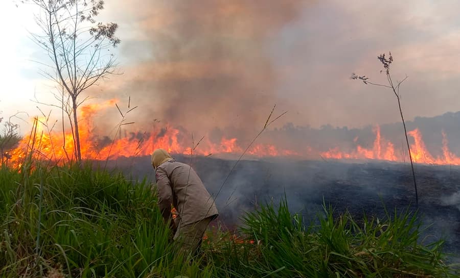 Número de focos de queimadas em janeiro é o mais alto da história no Acre