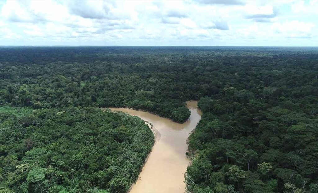 Ibama embarga quase 30 mil hectares de floresta no Acre para evitar invasões