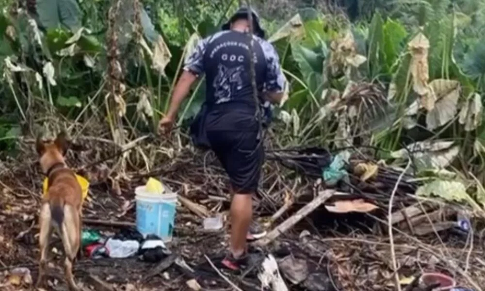 PM apreende mais de dois quilos de entorpecentes em bairro de Cruzeiro do Sul