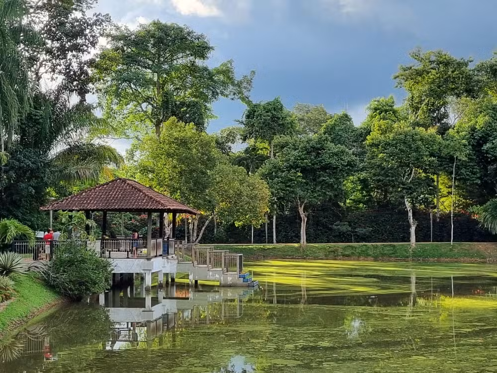 Mulher é arrastada e sofre tentativa de estupro enquanto fazia trilha no Horto Florestal de Rio Branco