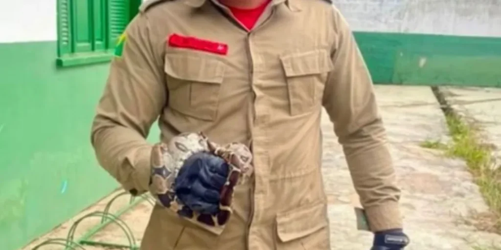 Jiboia de 1 metro é resgatada por bombeiros em escola municipal no Acre