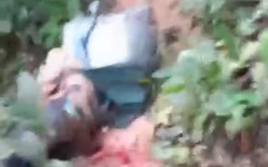 Catador de castanha cai sobre terçado e morre em seringal no interior do Acre