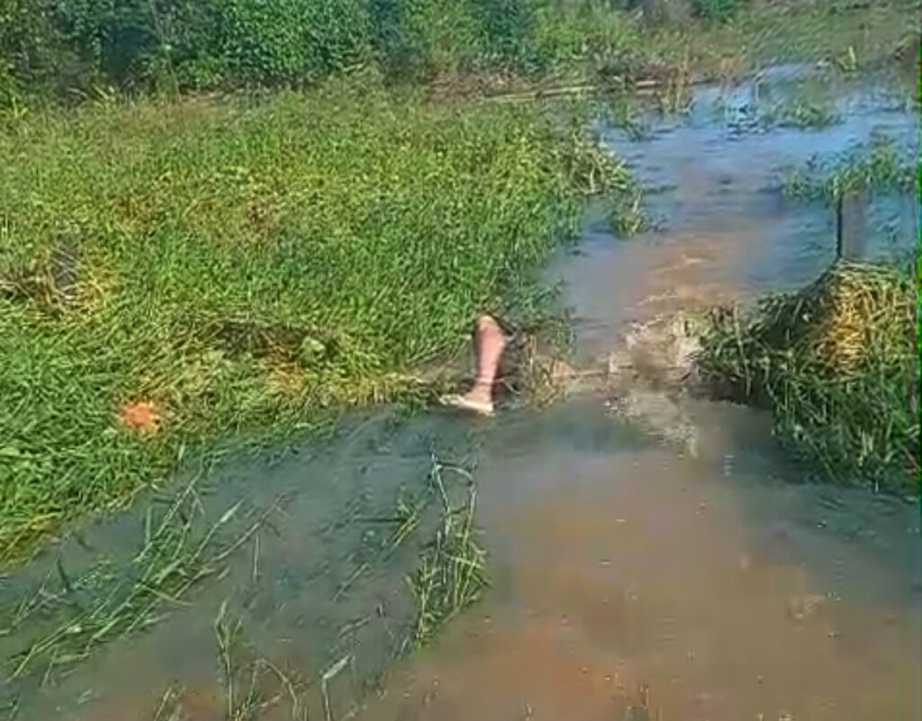 Corpo é encontrado boiando em igarapé na zona rural do Bujari