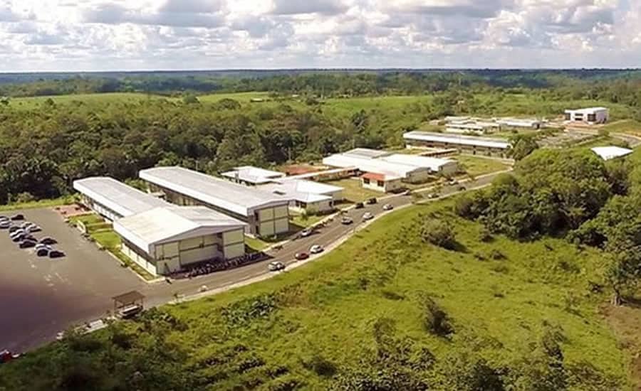 Curso de Pedagogia do Campus Floresta da UFAC recebe nota máxima do MEC