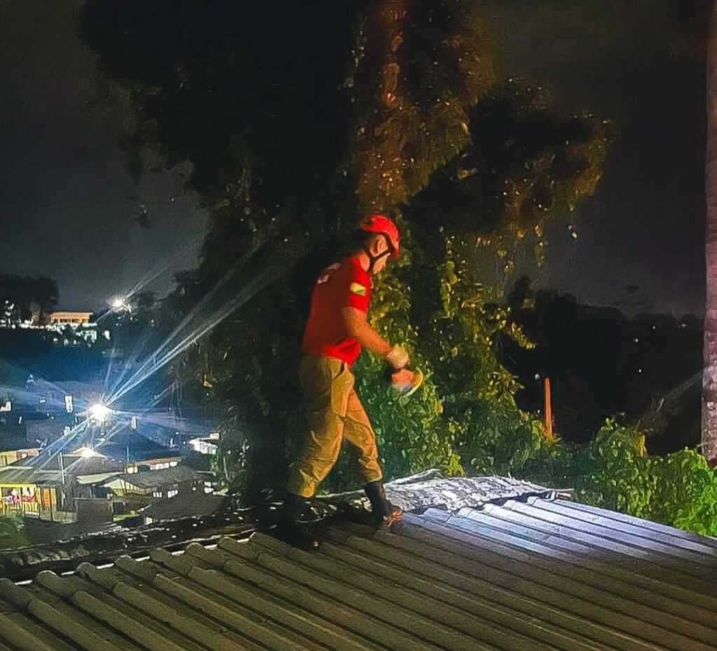 Bombeiros removem árvore caída sobre residência em Cruzeiro do Sul