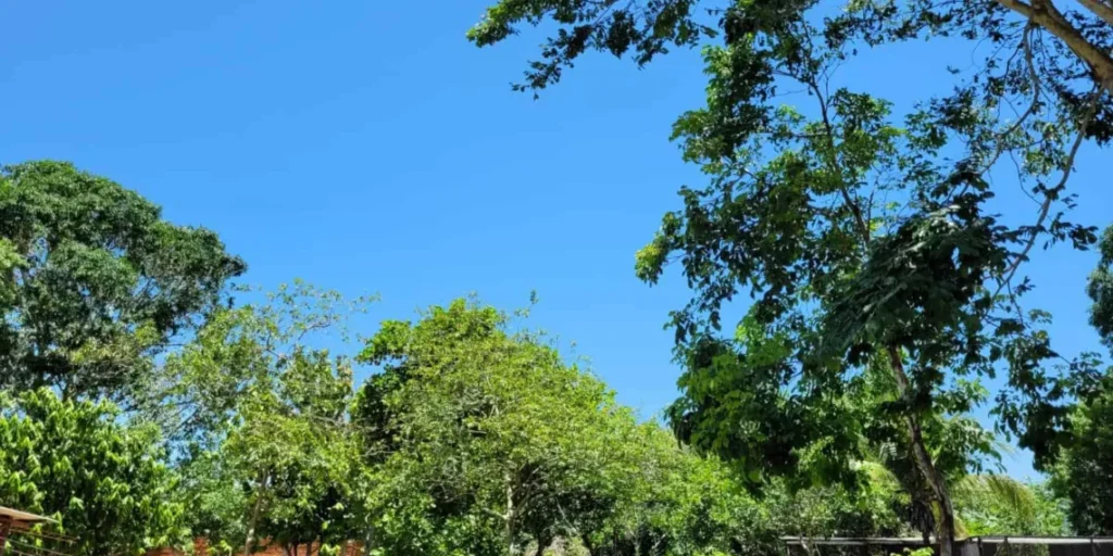 Com atuação fraca e menos intensa, La Niña está perto do fim