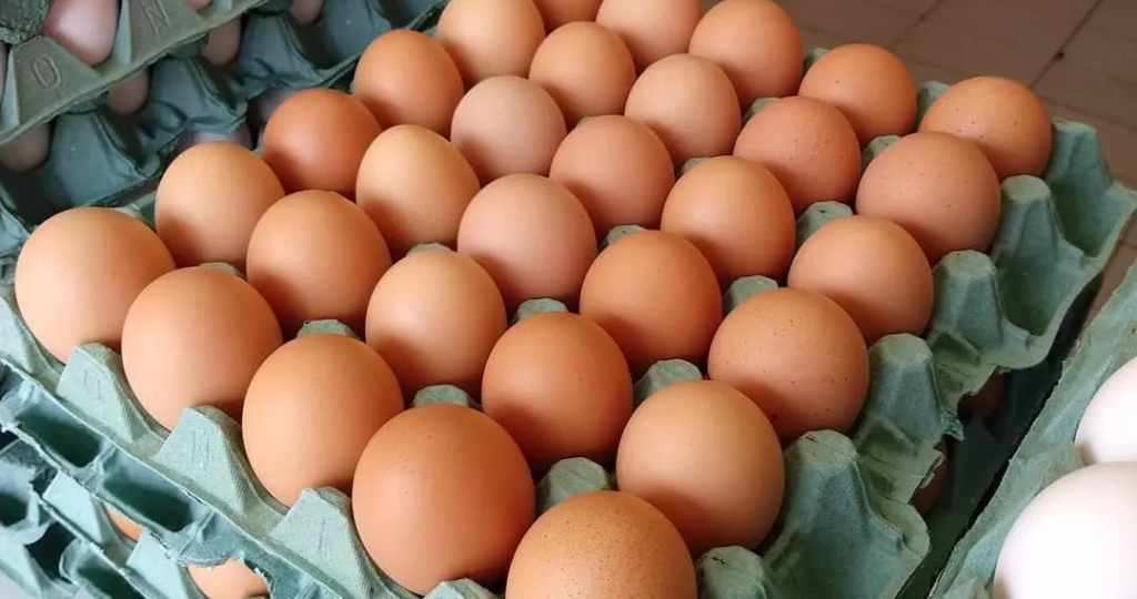 Alta demanda e galinhas estressadas com o calor: economista explica aumento no preço do ovo no Acre