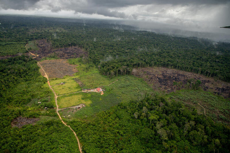 Desmatamento na Amazônia Legal cresce 35% em março, com o Acre representando 1% do total