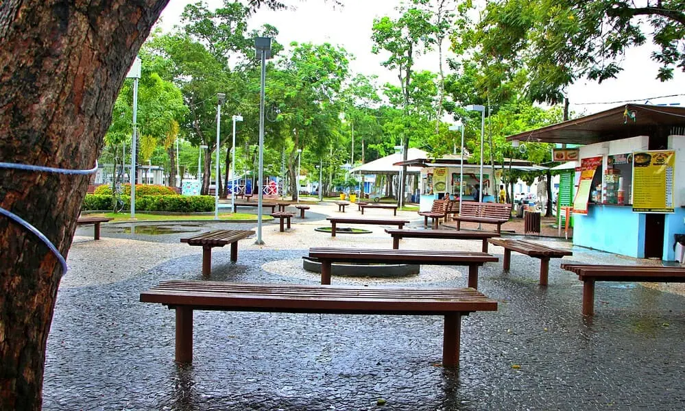 Acre tem a menor proporção de arborização urbana do país