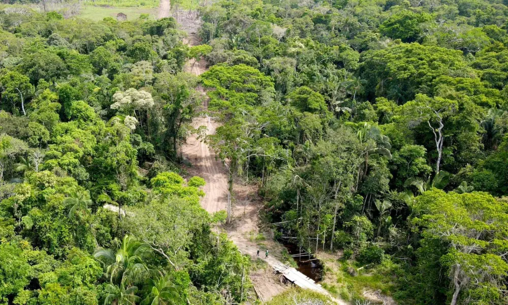 Ramal entre Porto Walter e Rodrigues Alves será interditado