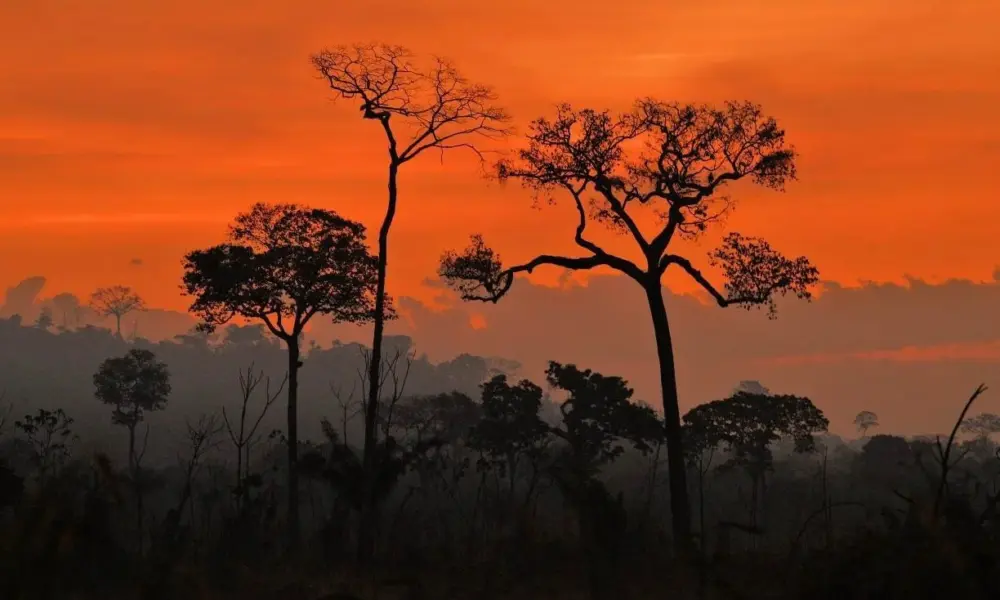 ICMBio deve usar georreferenciamento para delimitar Resex, diz MPF