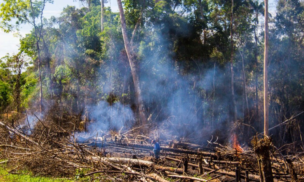 Acre foi o único da Amazônia que registrou aumento de área desmatada
