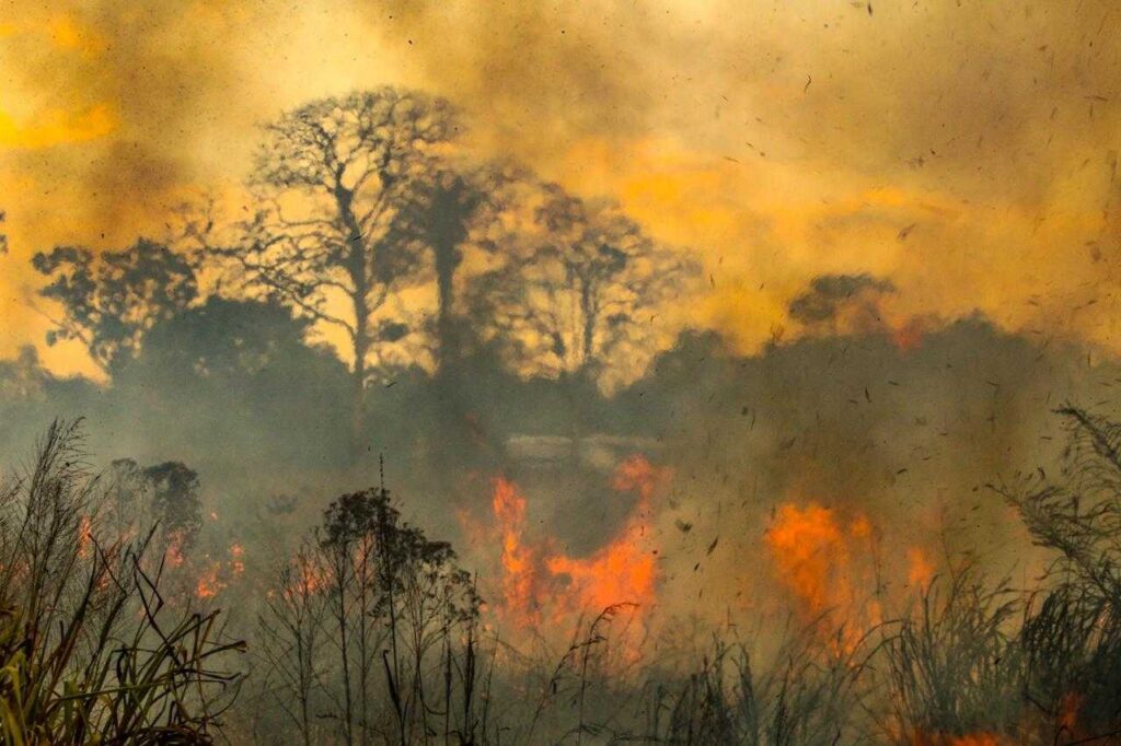 Acre registra apenas três focos de incêndio em abril, aponta levantamento