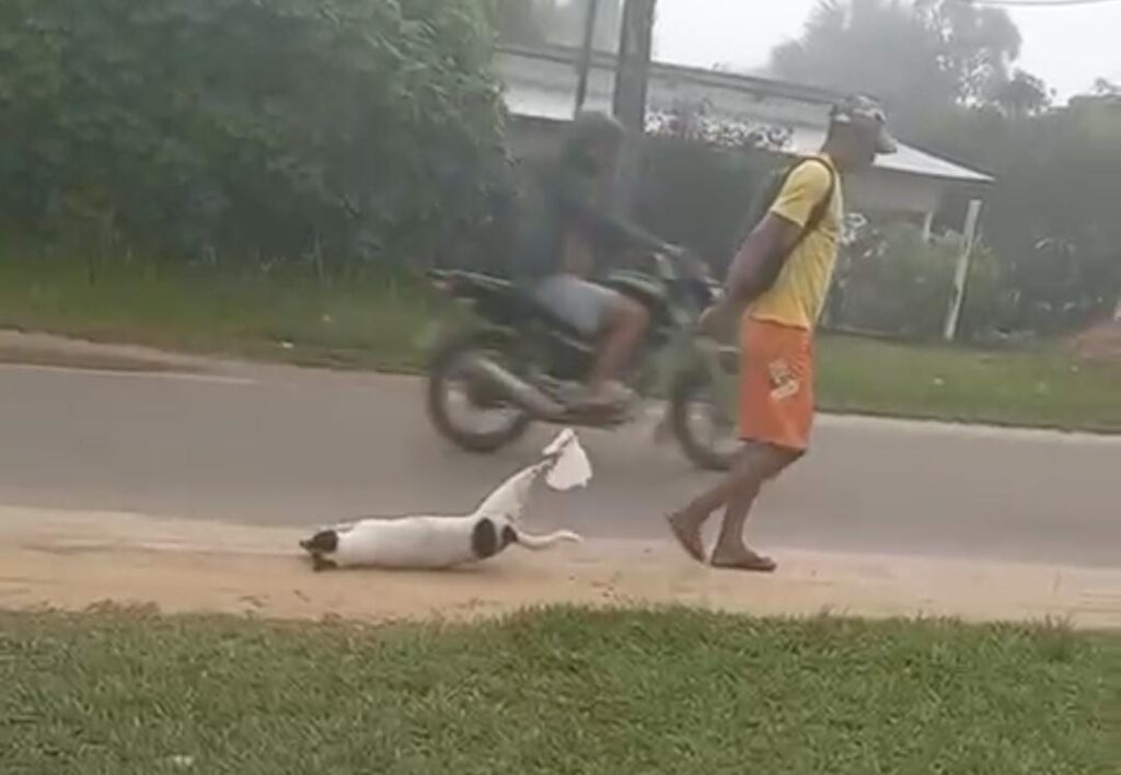 VÍDEO: Homem é flagrado arrastando cachorro morto em Cruzeiro do Sul; moradores acusam de maus-tratos