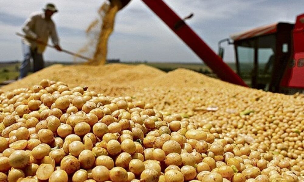 Mapa define calendário da soja no Acre para a safra com vazio sanitário iniciando em junho