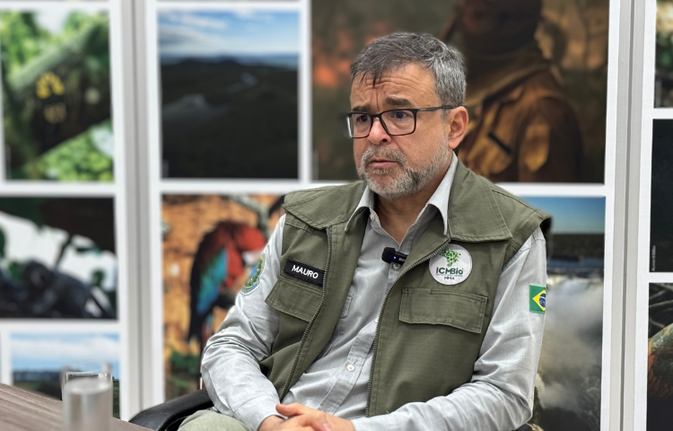 Donos de gado ilegal são notificados para retirada desde 2011, diz presidente do ICMBio