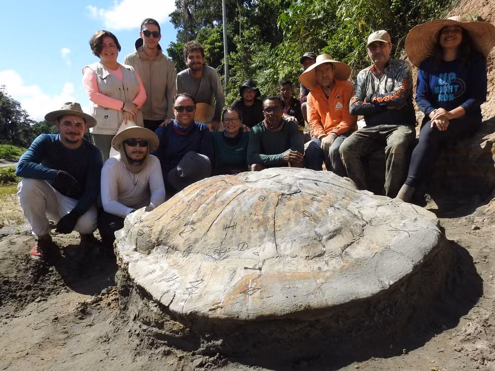 Fóssil de tartaruga encontrado no interior do Acre pode ter 13 milhões de anos