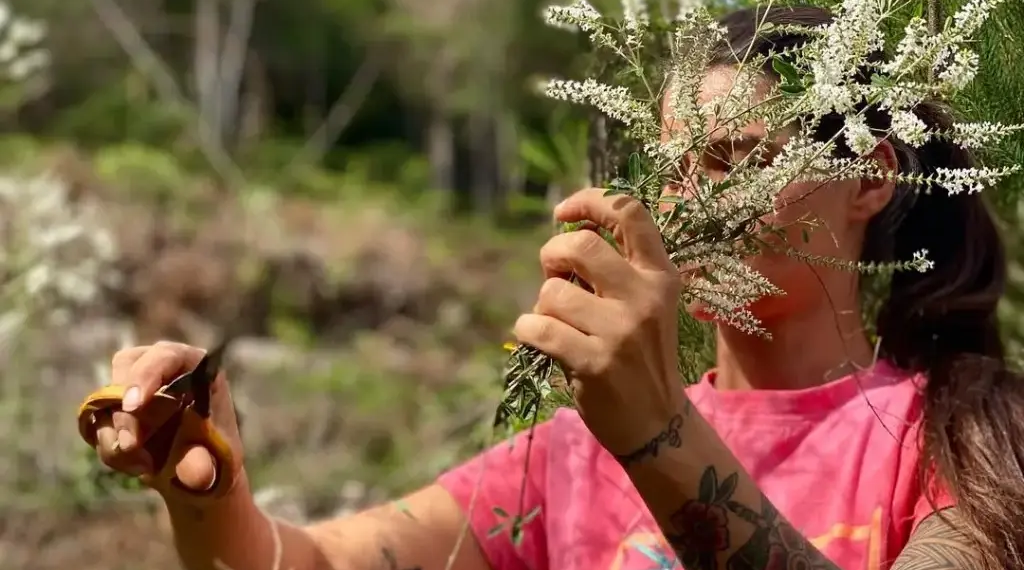 Empreendimento familiar que une fé e preservação em produção de óleos essenciais será destaque no Txai Amazônia