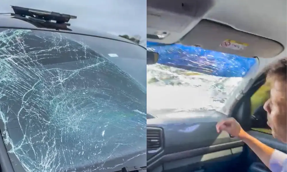 Carro de Eduardo Velloso é atingido por urubu e tem para-brisa destruído