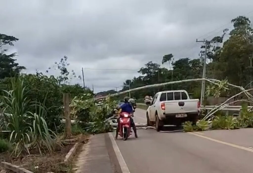 VÍDEO: Trecho da BR-364 é fechado por árvore caída e condutores se unem para liberar passagem