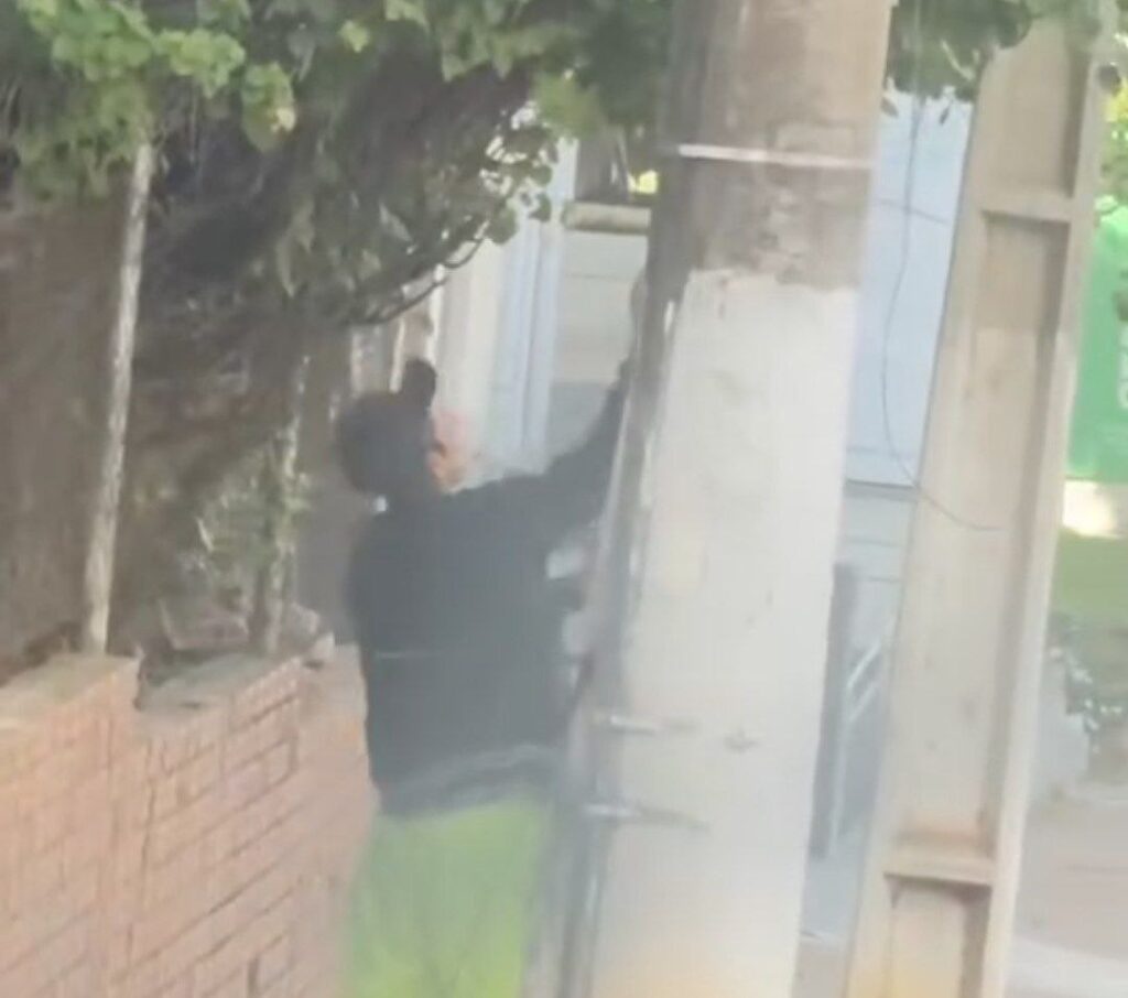 No Acre, homem é ‘pego’ roubando fios em plena luz do dia; ASSISTA