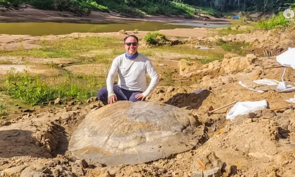 TV Unicamp publica novas imagens de fóssil da maior tartaruga de água doce do mundo encontrada no Acre