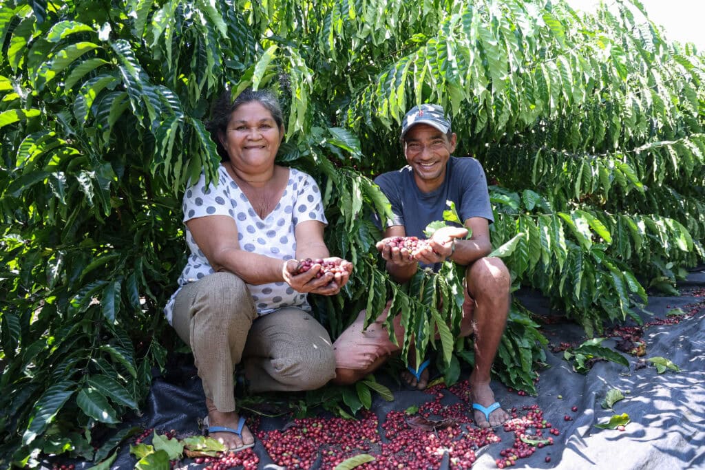Café com raízes coletivas coloca o Acre na vanguarda da bioeconomia e firma o estado como protagonista na produção do grão