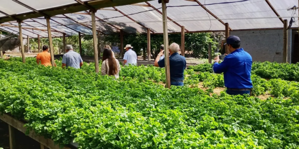 Rio Branco busca soluções para o campo em visita técnica a referência de produção rural em Rondônia