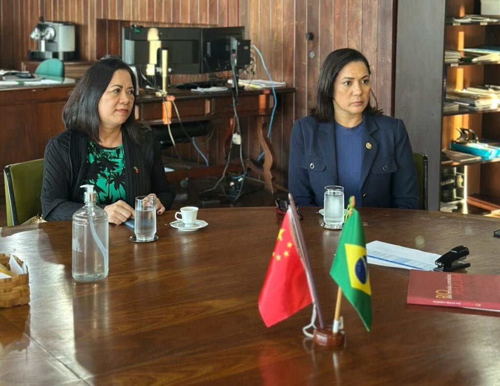 Vice-governadora Mailza apresenta potencial logístico do estado em encontro com representante da Câmara de Comércio Brasil-China