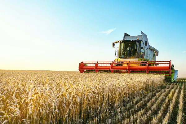 Agro representa quase 50% das exportações brasileiras no 1º semestre, com US$ 82 bi em envios