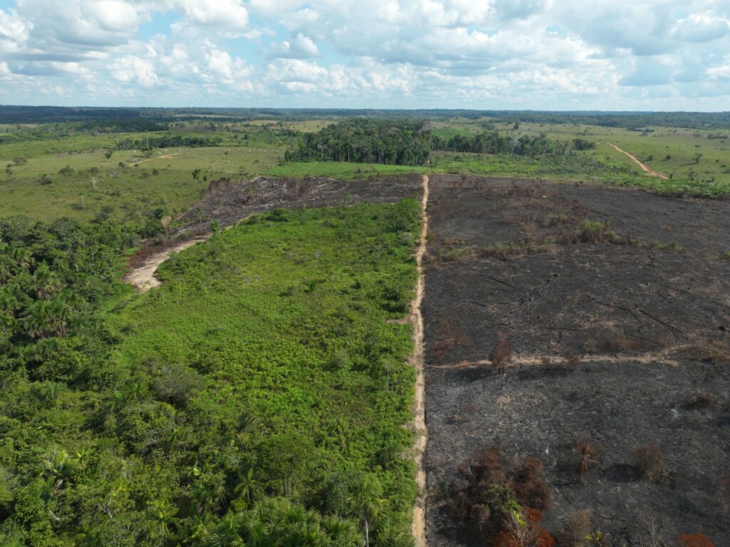 IMAC registra queda de 68% nas queimadas no Juruá e reforça fiscalização em 2025