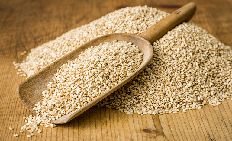 Brasil avança na exportação de gergelim com novas habilitações para a China