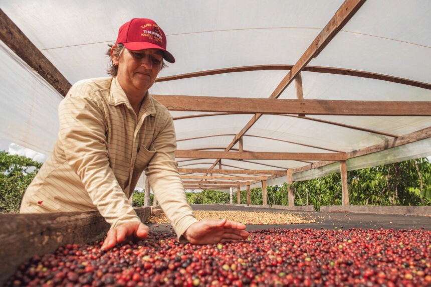 Preço do café segue elevado no Brasil apesar de recuos nas bolsas internacionais