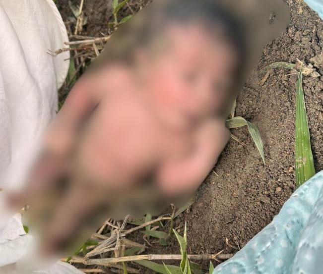 Bebê recém-nascida é encontrada em área de mata, após moradores ouvirem o choro dela; veja vídeo