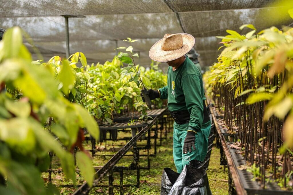 Acre lança programa que garante compras diretas da agricultura familiar e movimenta R$ 3 milhões