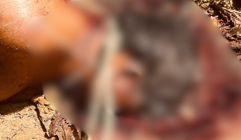 Homem é achado morto, amarrado e com ‘bilhete do CV’: “X9 é sal”