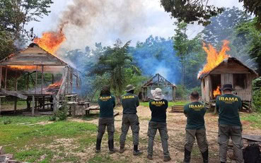 Ibama retira invasores e destrói acampamentos ilegais em Terra Indígena no Acre
