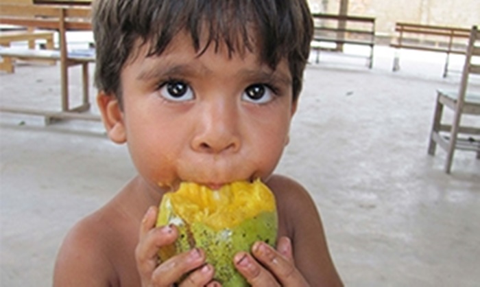 Conheça os benefícios da queridinha dos acreanos: a manga