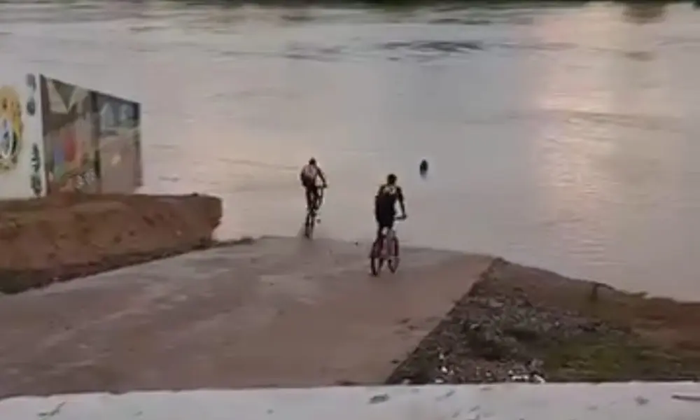 Em plena enchente, jovens pulam no Rio Iaco de bicicleta em Sena Madureira