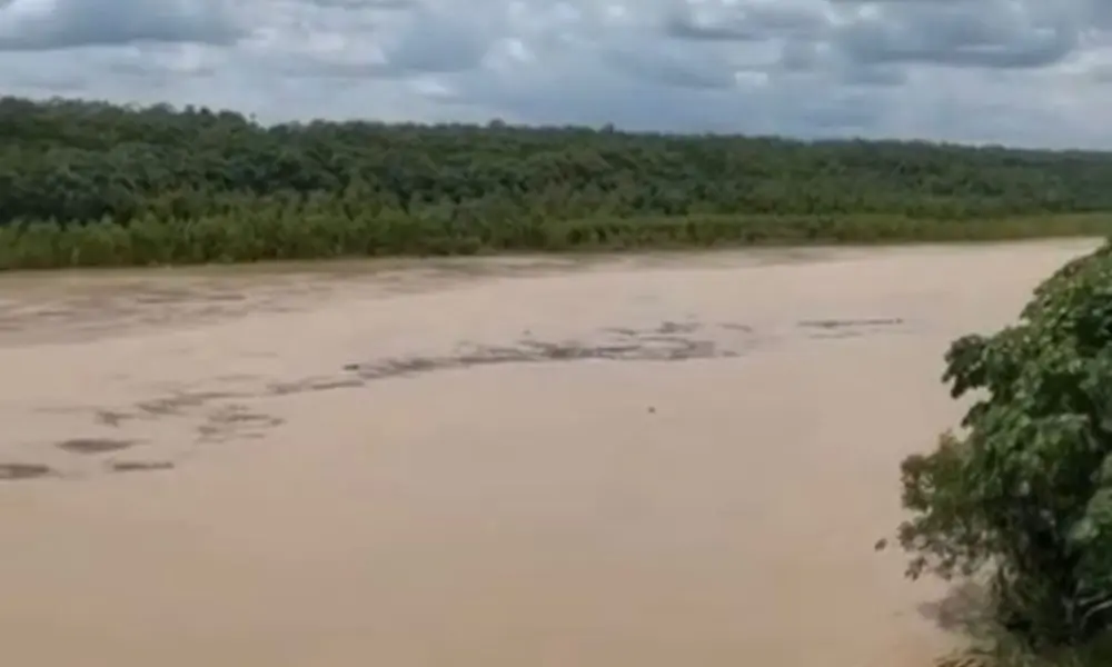 Tarauacá atinge cota de alerta e autoridades monitoram do nível do rio; veja vídeo