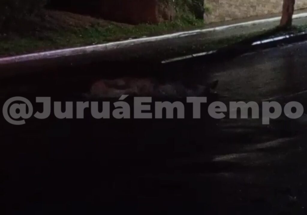 Pedestre morre após ser atropelado na Avenida Lauro Müller, em Cruzeiro do Sul