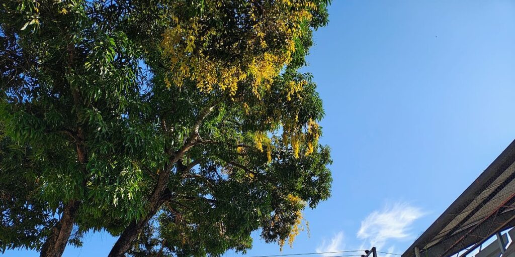 Domingo no Acre será de calor intenso, com sol e chuvas pontuais em todas as regiões, prevê Friale