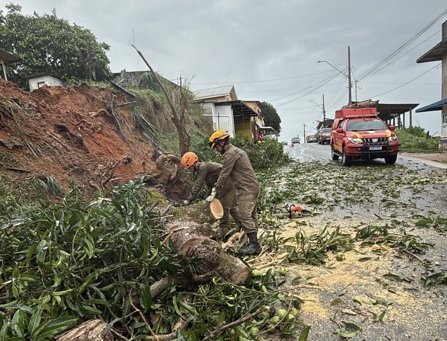 Bombeiros removem árvore e liberam via após chuva forte em Cruzeiro do Sul
