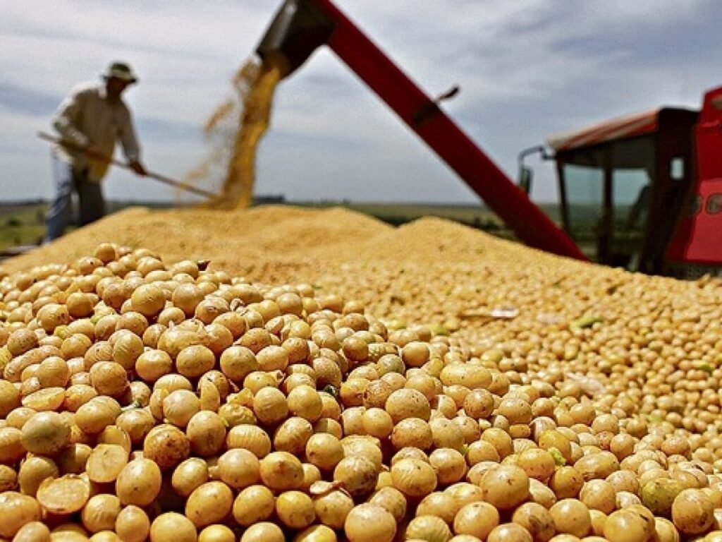 Mesmo com a soja mais barata, Acre amplia volume exportado e reforça superávit