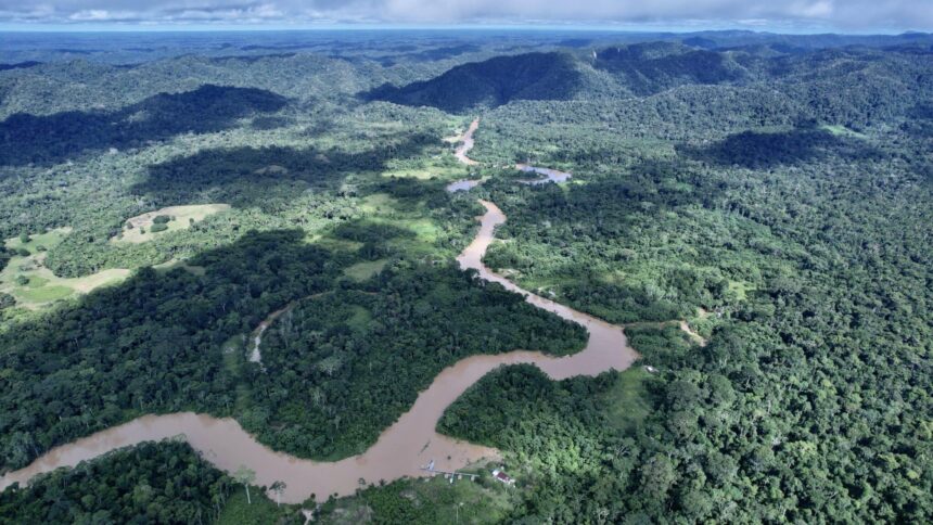 Brasil pode manter aumento de Indicações Geográficas em 20%