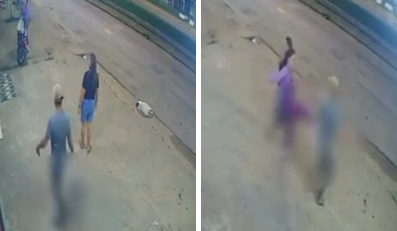 VÍDEO: homem chuta gato deitado em calçada e recebe o ‘troco’