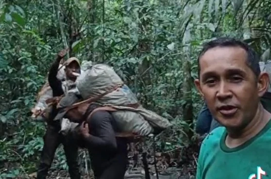 Extrativista repercute na web ao compartilhar rotina da coleta de castanha no Acre: “Ser honesto é pesado”