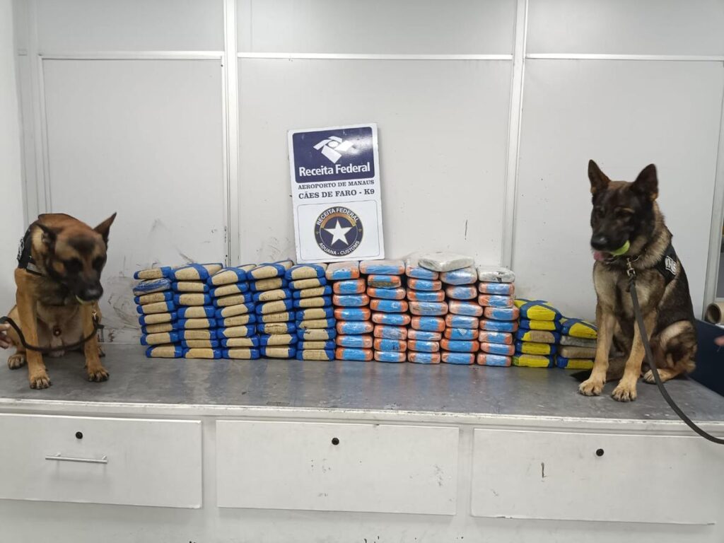 Droga escondida em polpa de açaí é apreendida em aeroporto