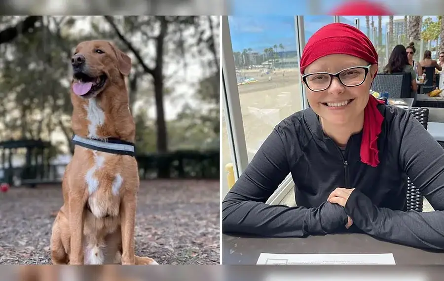 Mulher descobre câncer após cachorro ter comportamento estranho